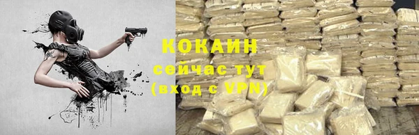 2c-b Бородино