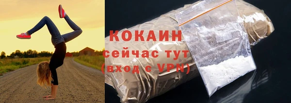 2c-b Бородино