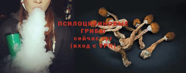 2c-b Бородино