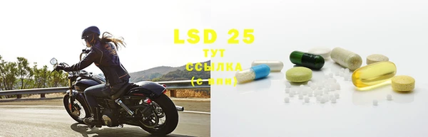 2c-b Бородино