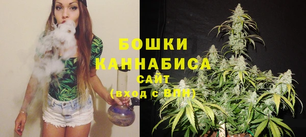2c-b Бородино