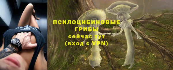 крисы Бугульма