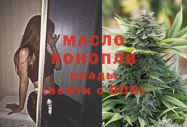 2c-b Бородино