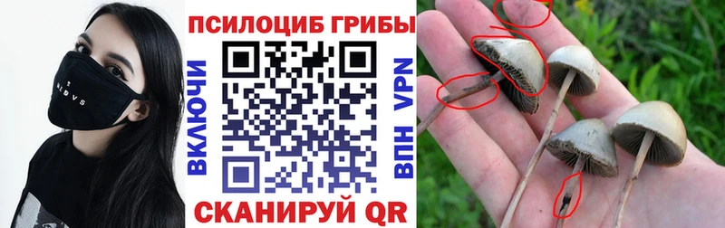 Псилоцибиновые грибы прущие грибы Яблоновский