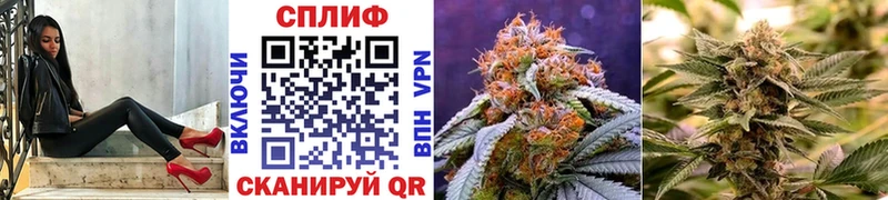 Конопля Ganja Яблоновский